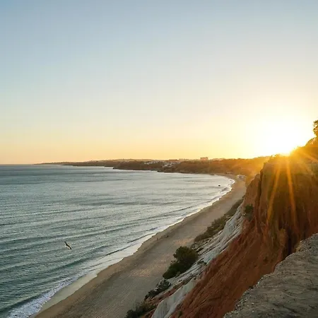 Pura Vida Falesia By The Portuguese Butler *