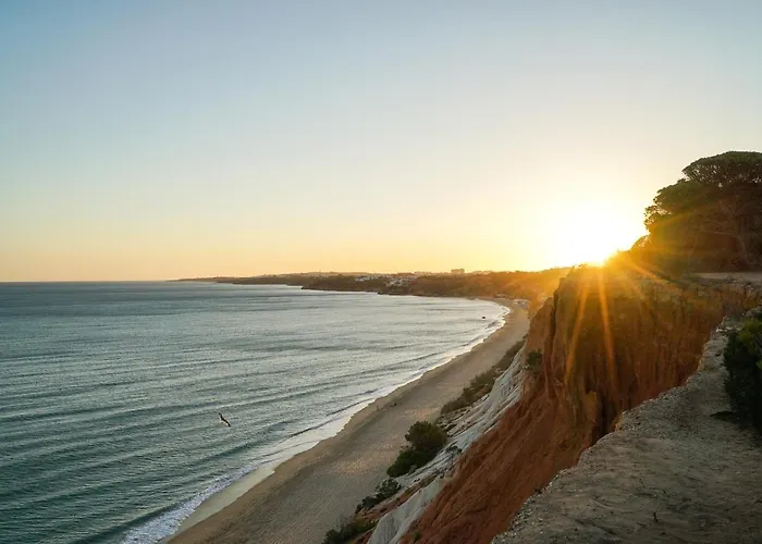 Pura Vida Falesia By The Portuguese Butler *
